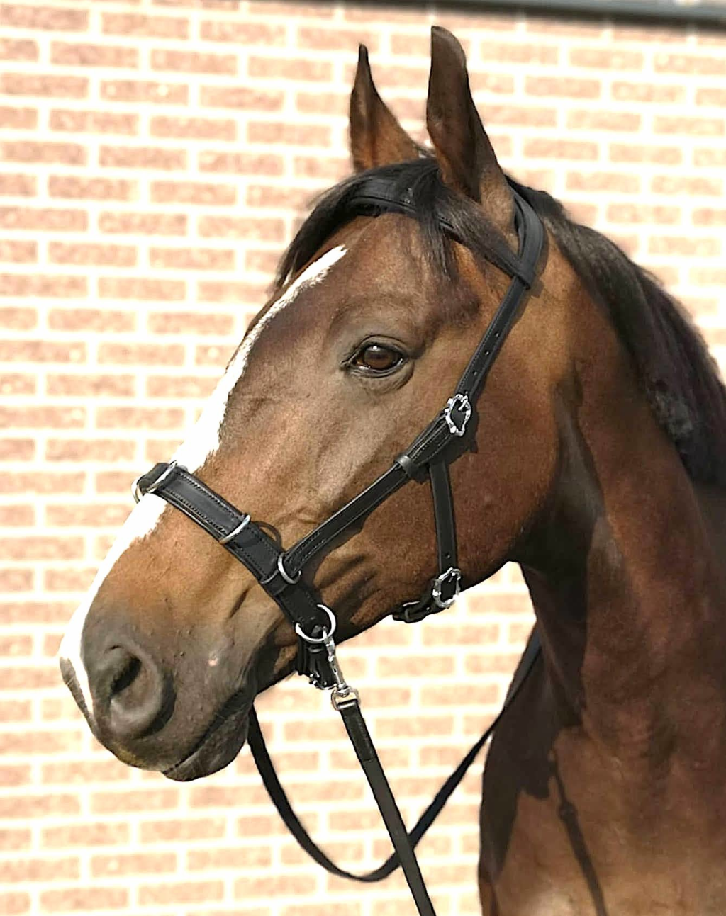 Sls Vaquero Heart Shaped Bit Bridlesugars Legacy Stables